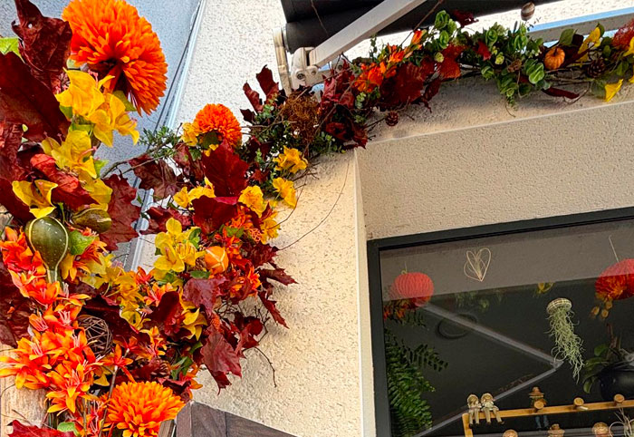 Décoration de vitrine magasin - Automne 2025 Décoration de vitrine magasin - Automne 2025