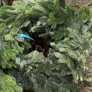 Guirlande de sapin naturel Nordmann fraîche et artisanale – 1 à 3 mètres