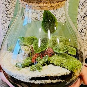 Atelier terrarium en duo parent-enfant | Jardin secret avec mon papa