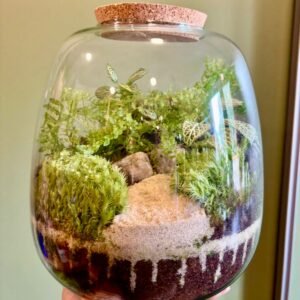Afterwork Terrarium – Composez votre écosystème végétal