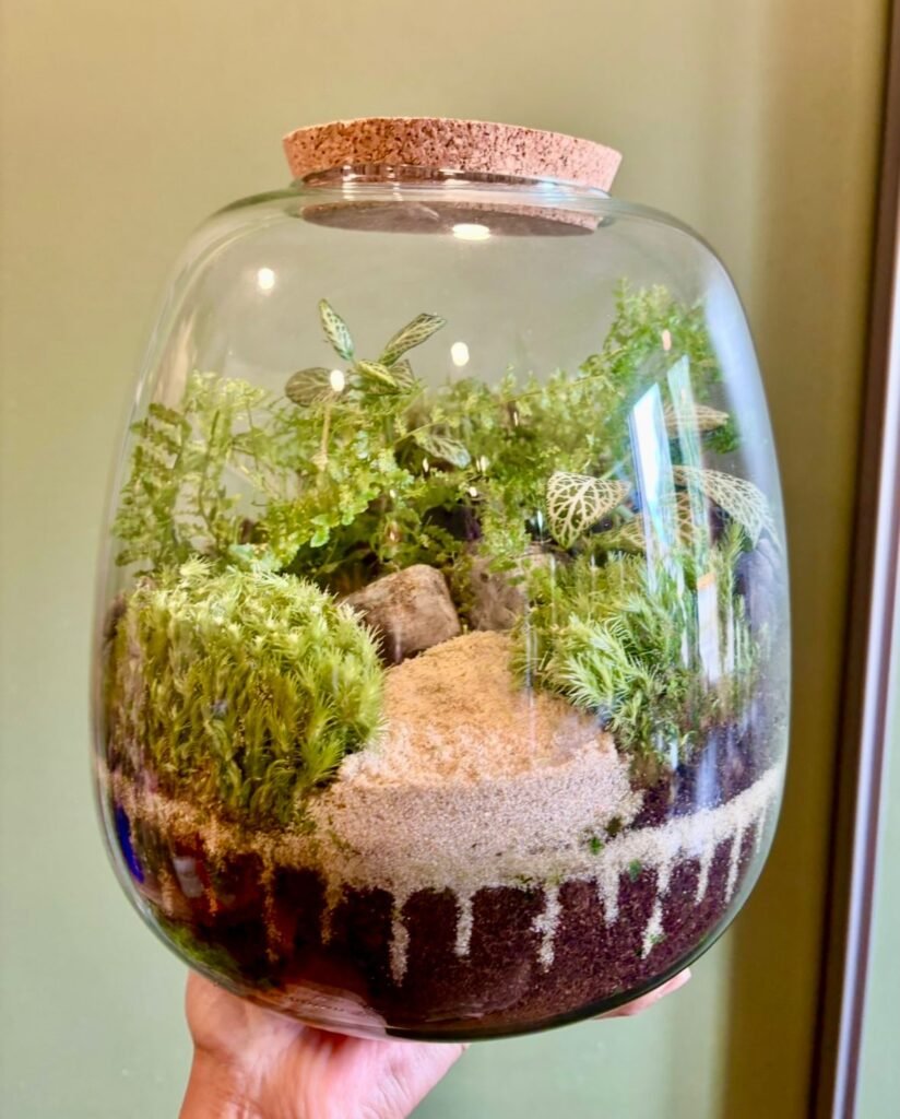 Afterwork Terrarium – Composez votre écosystème végétal