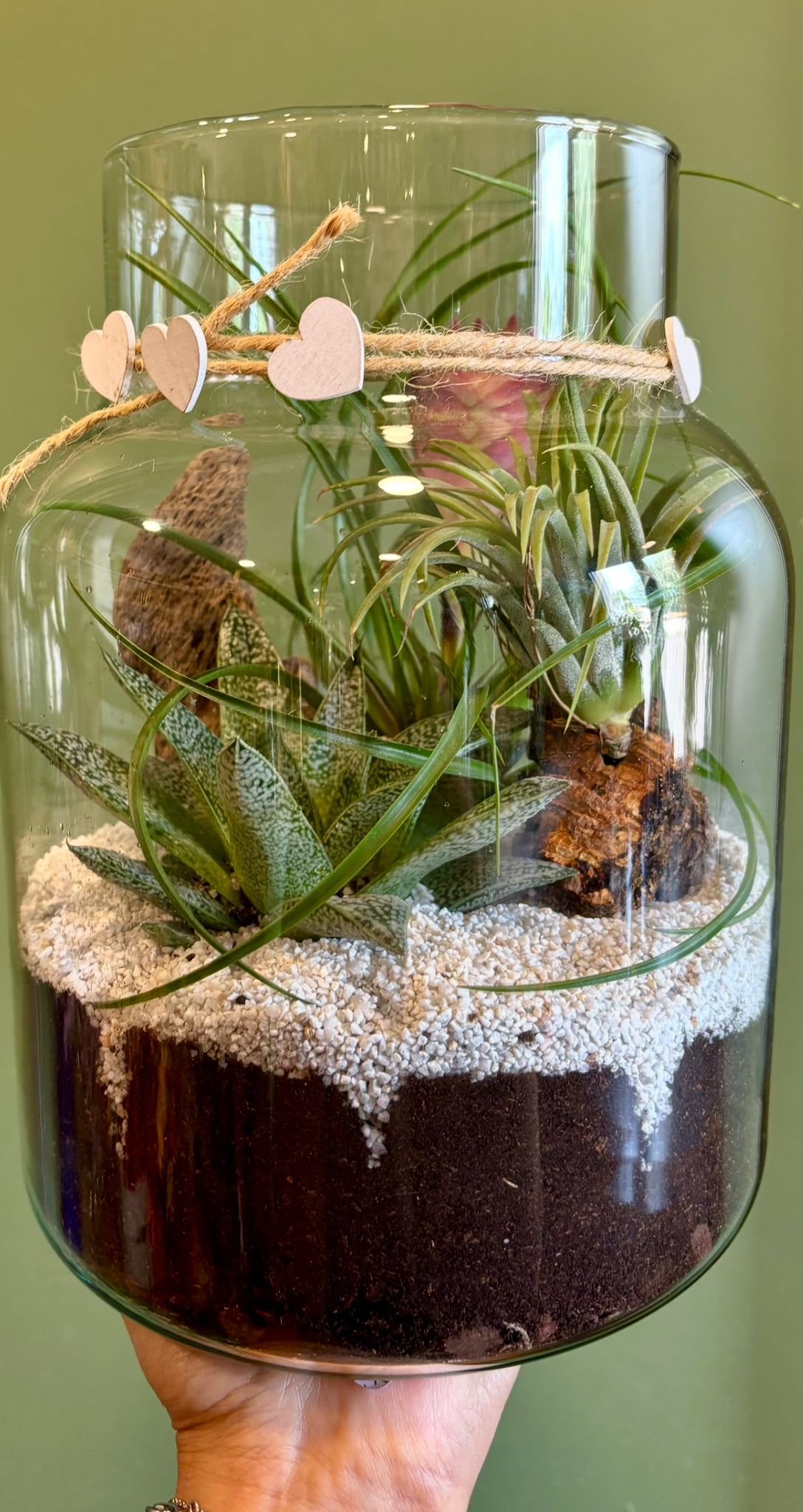 Afterwork Terrarium