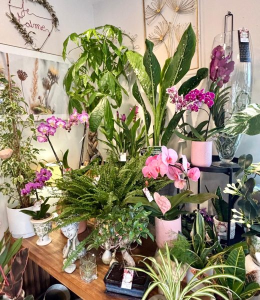 Les plantes à offrir - Flormandise | Vernioz 38